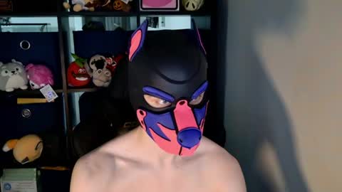 MellPUP online show from 06-20-26, 03:15