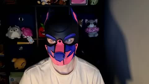 MellPUP online show from 06-22-26, 11:29