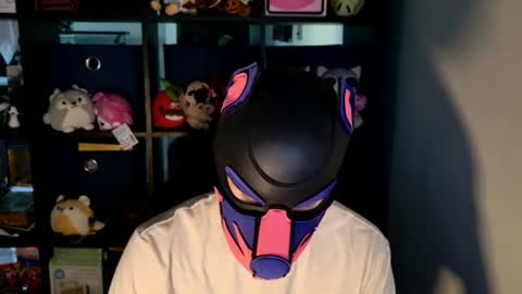 MellPUP online show from 06-23-26, 12:25