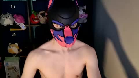 MellPUP online show from 06-24-26, 12:15
