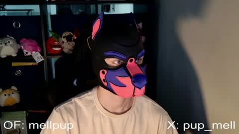 MellPUP online show from 06-25-26, 01:04