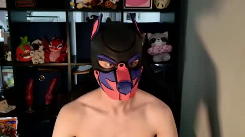 MellPUP online show from 07-14-26, 06:13
