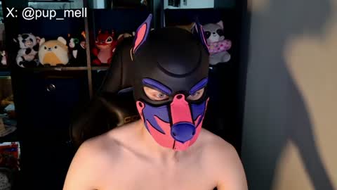 MellPUP online show from 08-04-26, 03:47