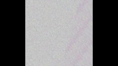 Melody501a online show from 02-23-25, 07:22