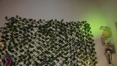 melody_cute10 online show from 01-26-25, 04:41