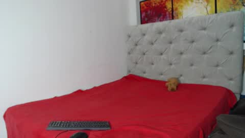 Snapshot of melody_phillips2 chatting on 12-09-24, 07:17 melody phillips online show from 12-09-24, 07:17