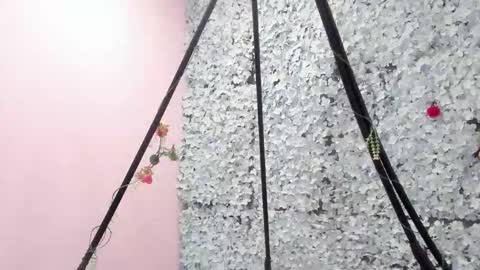 melodyy_28 online show from 12-05-25, 01:52