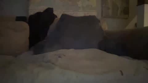 Snapshot of melt13 chatting on 01-01-25, 02:41 melt13 online show from 01-01-25, 02:41