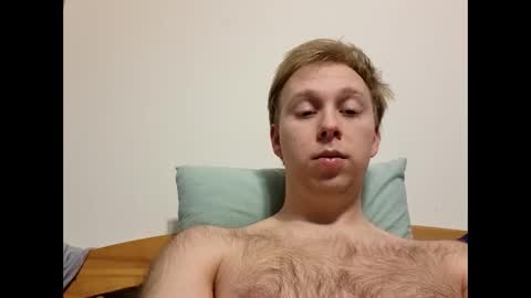 meow732 online show from 12-17-25, 01:44