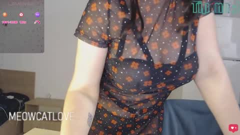 meowcatlove online show from 12-24-24, 09:00