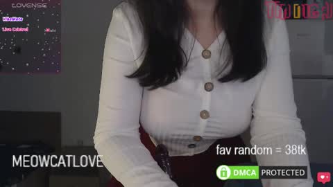 meowcatlove online show from 01-20-25, 09:01