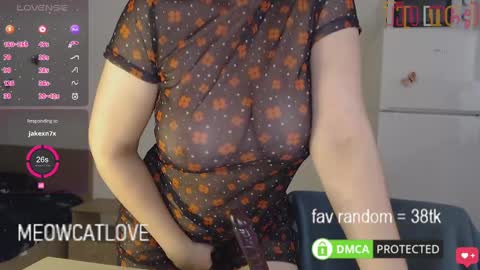 meowcatlove online show from 01-25-25, 08:00