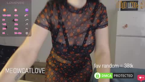 meowcatlove online show from 01-29-25, 08:14