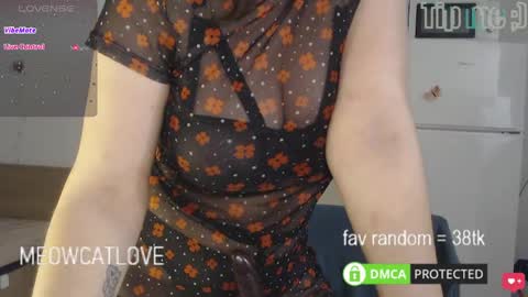 meowcatlove online show from 03-04-25, 07:43