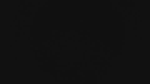 Snapshot of mewade chatting on 02-13-26, 11:28 Wade online show from 02-13-26, 11:28