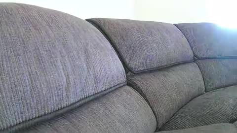 mexianthehawk online show from 01-18-26, 09:29