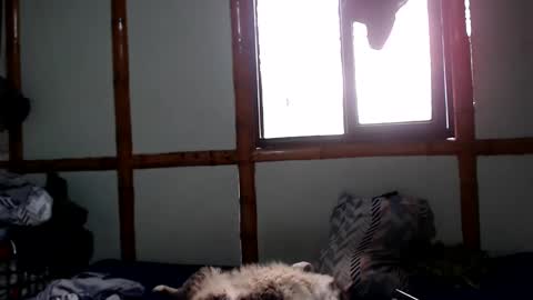 Mia  Sam online show from 10-04-25, 04:05