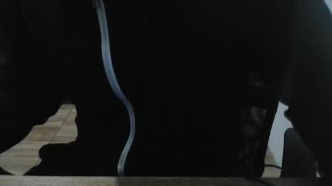 Snapshot of miamorr_ chatting on 02-03-26, 04:43 miamorr_ online show from 02-03-26, 04:43