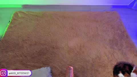         online show from 01-29-25, 10:11