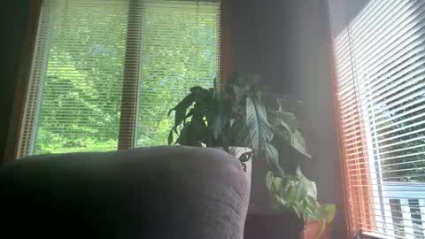 Big Dick Mike online show from 06-07-26, 07:39