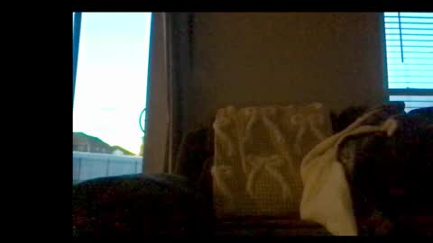 michaelt483 online show from 02-21-26, 11:06