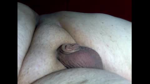 micropimmel online show from 12-18-24, 04:06