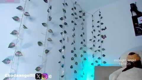       online show from 11-15-25, 12:08