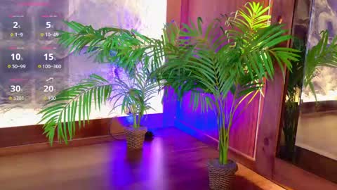  CALL ME MIA  online show from 05-19-26, 04:24