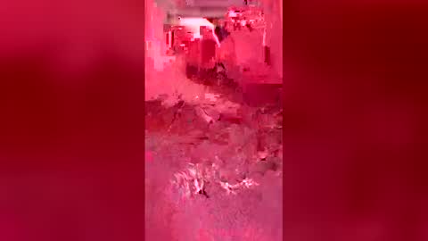 mike26051 online show from 04-19-26, 05:51