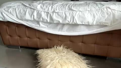 Snapshot of mikel030 chatting on 03-02-26, 01:40 djfuckoff online show from 03-02-26, 01:40