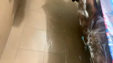 Snapshot of mikeyblunt chatting on 02-25-25, 01:28 mikeyblunt online show from 02-25-25, 01:28