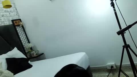 Snapshot of mila_adamss chatting on 12-23-24, 10:21 mila_adamss online show from 12-23-24, 10:21