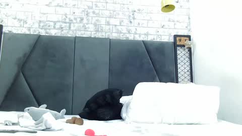 Snapshot of mila_adamss chatting on 01-16-25, 05:01 mila_adamss online show from 01-16-25, 05:01