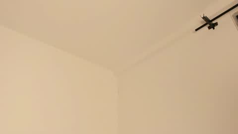 Snapshot of mila_monty__ chatting on 02-14-25, 07:28 online show from 02-14-25, 07:28