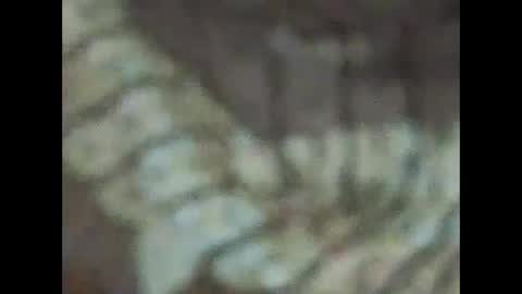 milfpussyeatdeep online show from 12-31-24, 09:06