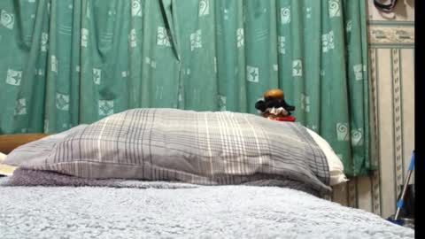 milfy72 online show from 01-30-25, 10:41