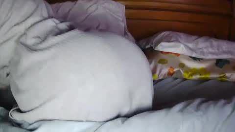 Snapshot of milfytitts chatting on 10-16-25, 12:39 MilfyTitts online show from 10-16-25, 12:39