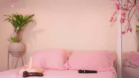    online show from 10-23-25, 12:15