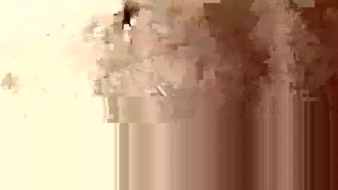 minniehunney online show from 04-23-26, 08:24