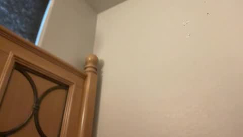 Minx online show from 02-11-26, 02:22