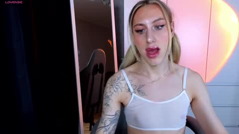 Snapshot of miraraid chatting on 12-17-24, 09:50 miraraid online show from 12-17-24, 09:50