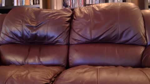 misohoney007 online show from 04-06-26, 11:33