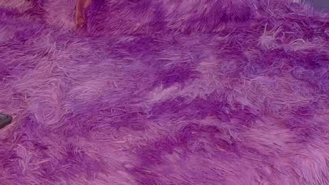 miss__jones_ online show from 04-06-26, 04:52