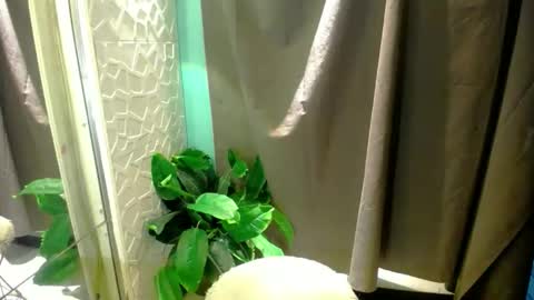 Snapshot of miss_moheera_xxx chatting on 05-03-26, 02:17 Moheera online show from 05-03-26, 02:17