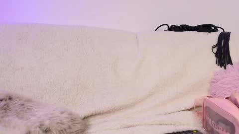 miss_sophia21 online show from 02-18-26, 02:51