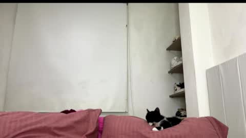 missangeldust online show from 10-27-25, 11:52