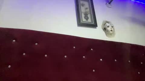 Snapshot of missbellerina chatting on 02-28-26, 09:16 Missbelle online show from 02-28-26, 09:16