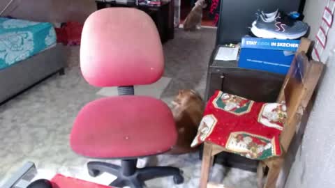 Maria Gomezz online show from 05-26-26, 06:04