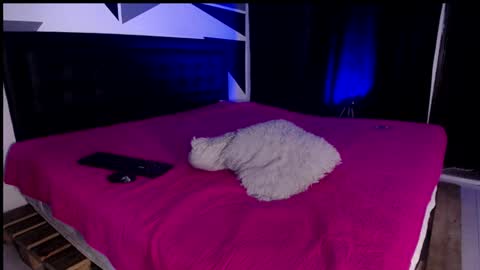 Miss Loise online show from 01-29-25, 12:56