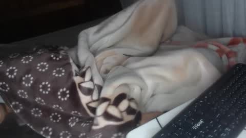 Snapshot of misspink152015 chatting on 12-28-24, 04:30 sarah online show from 12-28-24, 04:30